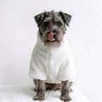Pet Winter Coat