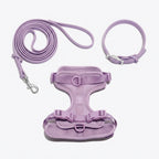 Adjustable Pet Harness Set