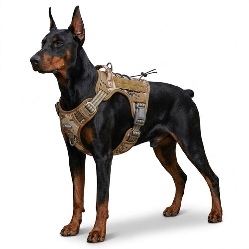 Adjustable Dog Harness