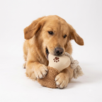 Rope Bone Dog Toy