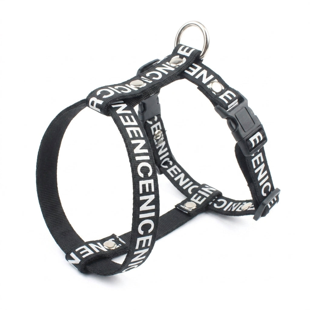 Adjustable Dog Harness & Leash Set