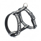 Adjustable Dog Harness & Leash Set