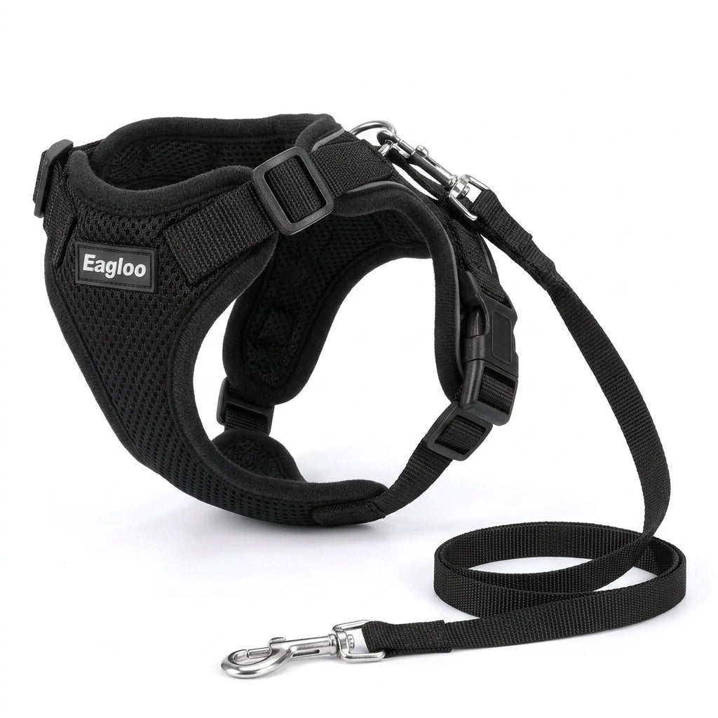 Pet Harness and Leash