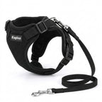 Pet Harness and Leash