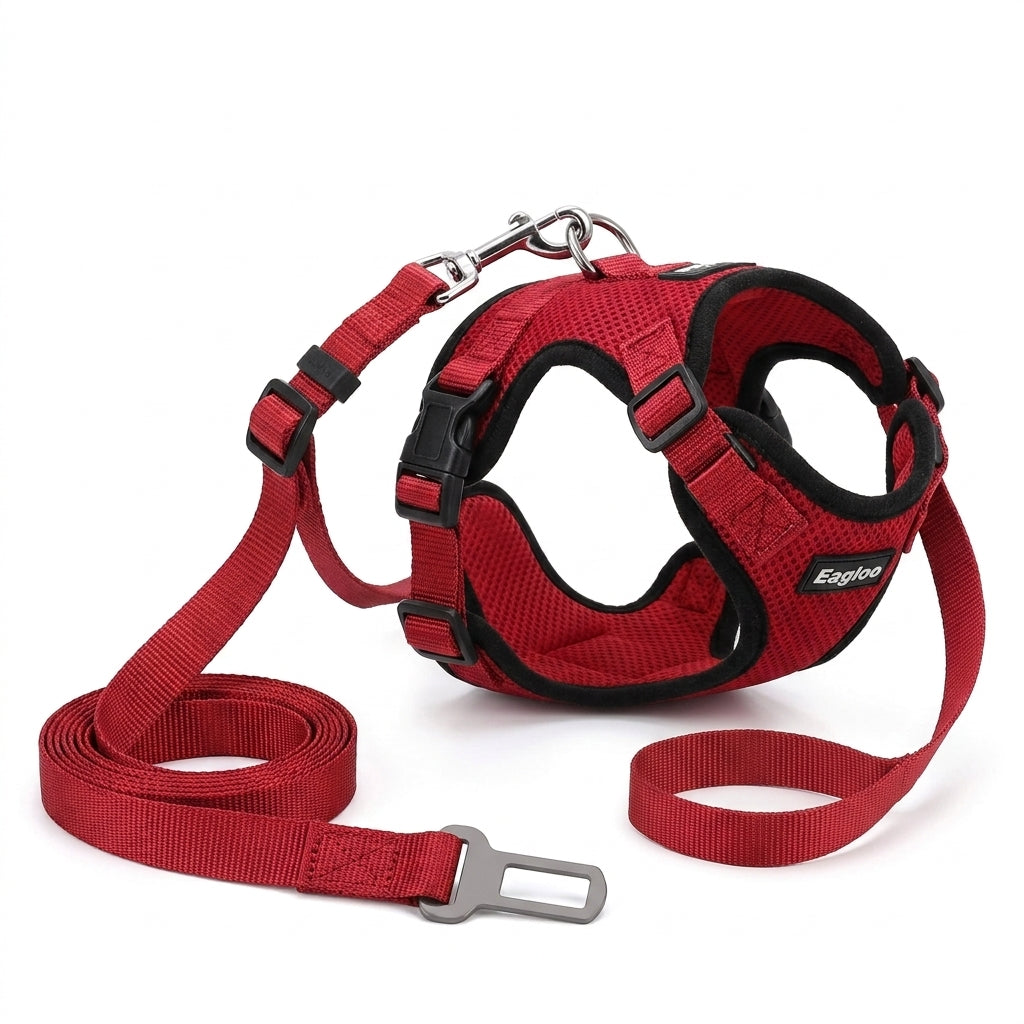 Pet Harness and Leash