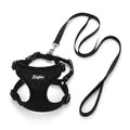 Pet Harness and Leash