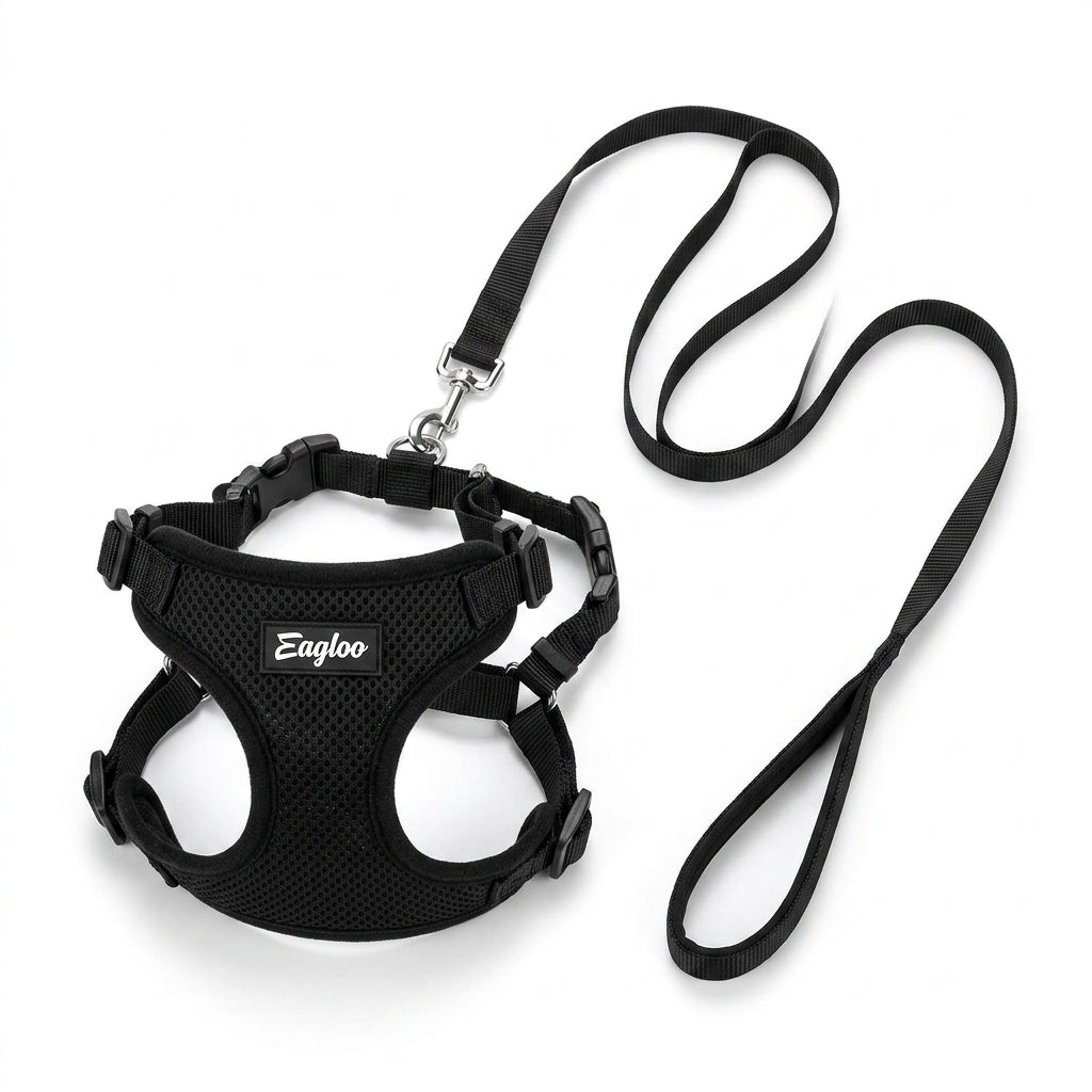 Pet Harness and Leash