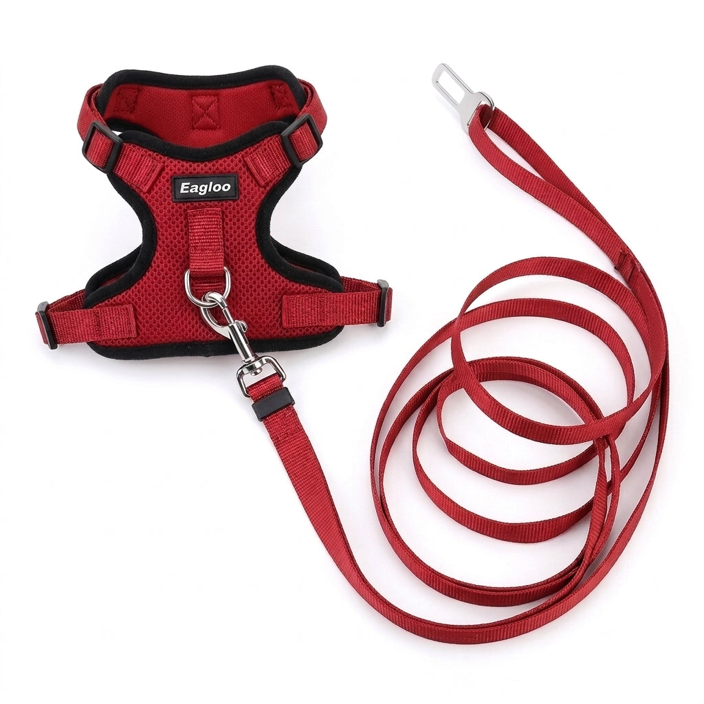 Pet Harness and Leash