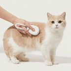 3-in-1 Steam Grooming Brush